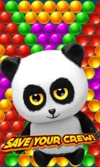 Panda Shooting - Popping Diary Screen Shot 2