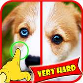 Cari Perbedaan Dog Game