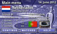 EURO 2012 Football/Soccer Game Screen Shot 1