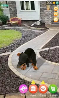 Anjing Berbicara AR Screen Shot 1