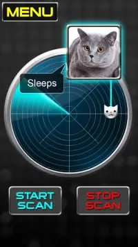 Radar Ce qui fait Cat Joke Screen Shot 1