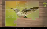 पक्षी पहेली गेम Screen Shot 7