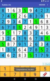 Sudoku Lite Screen Shot 9