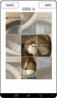 Cat Puzzles Screen Shot 7