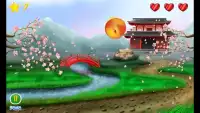 Bakusiowi Ninja Screen Shot 9