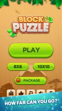 Block Puzzle: Block n Sudoku Screen Shot 0