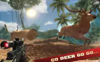 Jungle Sniper Hunt: Safari Screen Shot 2