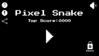 Pixel Snake Screen Shot 0