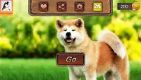 Akita Dog Simulator Screen Shot 0