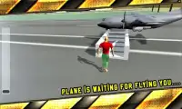 Pilot Airplane Driving Sim 3D Screen Shot 0