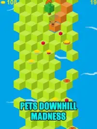 Pets Downhill Madness - Game Screen Shot 5