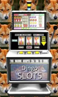 3D Dingo Slots - Free Screen Shot 0