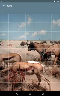 Puzzle: Animaux Screen Shot 10