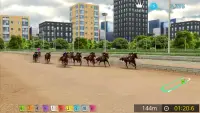 Pick Horse Racing Screen Shot 4