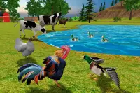 Rooster Simulator - Chick Life Screen Shot 9