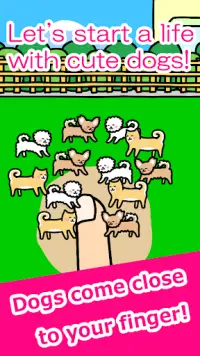Play with Dogs - relaxing game Screen Shot 1