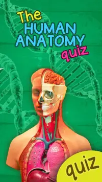 Anatomie Du Corps Humain - Anatomie Humaine Quiz Screen Shot 5