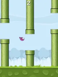 Super idiot bird Screen Shot 0