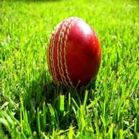 Howzat Cricket 2D