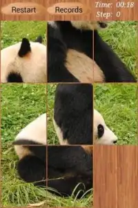 Animal Puzzle Screen Shot 2