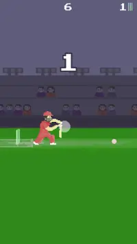 Pixel Cricket Game Screen Shot 1