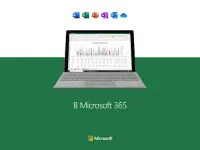 Microsoft Excel: Spreadsheets Screen Shot 9