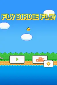 Fly, Birdie, Fly! Screen Shot 0