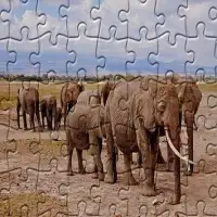 Jigsaw Puzzles - Lost Wild Screen Shot 2