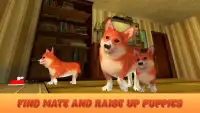 Corgi Dog Life Simulator 3D Screen Shot 1