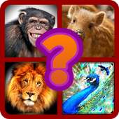 Animal Quiz - guess the animal