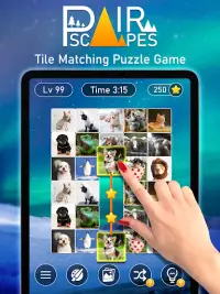 PairScape: Pair Matching Game Screen Shot 5