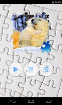 Bear Jigsaw Puzzle Screen Shot 0