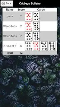 Cribbage Solitaire Screen Shot 1