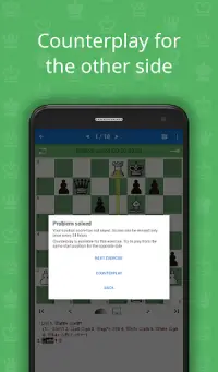 CT-ART 4.0 (Chess Tactics) Screen Shot 6