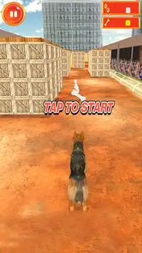 クレイジー犬サーファー - エンドレスラン Screen Shot 0