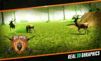 Deer sniper hunter adventures Screen Shot 3