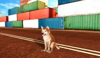 Akita Dog Simulator Screen Shot 12