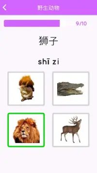 Learn Chinese for beginners Screen Shot 4