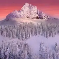 Nature Jigsaw Puzzles Screen Shot 3