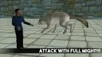 Angry Wolf Simulator Game Screen Shot 2