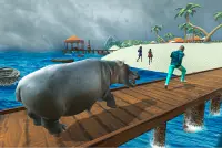 Wild Hippo Beach Simulator Screen Shot 0