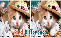 Find 5 Difference : Cats Screen Shot 0