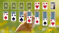 Solitaire Theme 🐱 Screen Shot 3