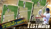 Real Cricket™ Test Match Screen Shot 3