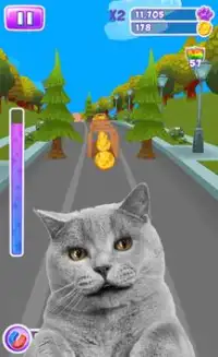 angry cat runner rush 3d Screen Shot 5