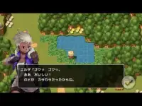 グランブーム国物語 Screen Shot 11