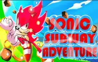 Sonic subway ultimate adventure 2019. Screen Shot 0