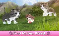 Cat Simulator: Farm Quest 3D Screen Shot 3