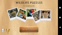 Wildlife Puzzles Screen Shot 0