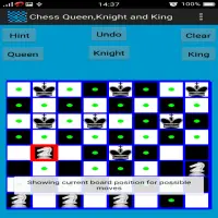 Chess Queen, Knight and King Problem Screen Shot 8